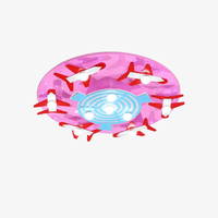 Plafonnier Enfant Rond Avions | Marco Lucetti Rose