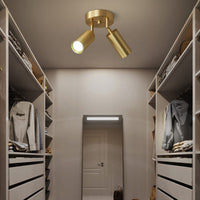 Plafonnier Finn: Élégance Dorée et Polyvalence | Marco Lucetti