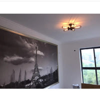 Plafonnier industriel Vintage - Cage métallique | Marco Lucetti