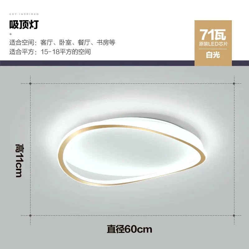 Plafonnier LED circulaire ultra-mince de style nordique moderne et artistique. | Marco Lucetti Lampe froide 60CM