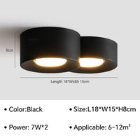 Plafonnier LED Cylindre Moderne | Marco Lucetti Noir 2 têtes