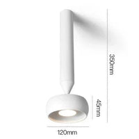 Plafonnier LED Minimaliste Blanc/Noir - Lumi'Clean | Marco Lucetti Blanc grand 4000K