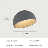 Plafonnier LED Nordique Moderne | Marco Lucetti Gris-35cm-A / Luminosité variable