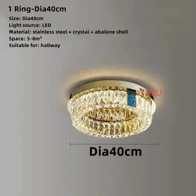 Plafonnier LED Rond Design Nordique en Acier Inoxydable - Nouveau Modèle Prestige | Marco Lucetti 1 anneau-Dia40cm / Lumière variable