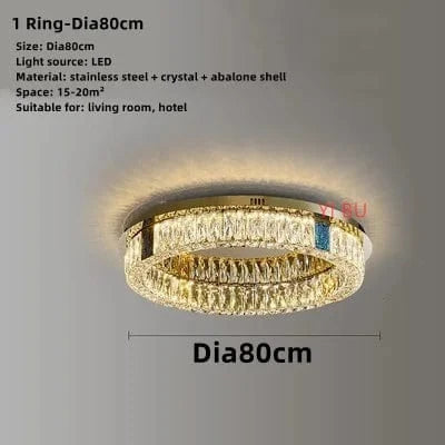 Plafonnier LED Rond Design Nordique en Acier Inoxydable - Nouveau Modèle Prestige | Marco Lucetti 1 anneau-Dia80cm / Lumière variable