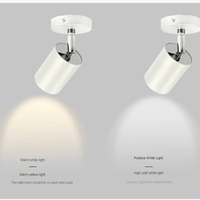 Plafonnier LED sur-mesure pour bar : angles ajustables, installation facile | Marco Lucetti