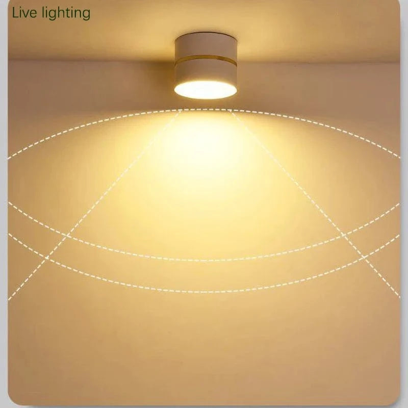 Plafonnier LED Surface Monté Downlight Rond Projecteurs COB - Éclairage Moderne | Marco Lucetti