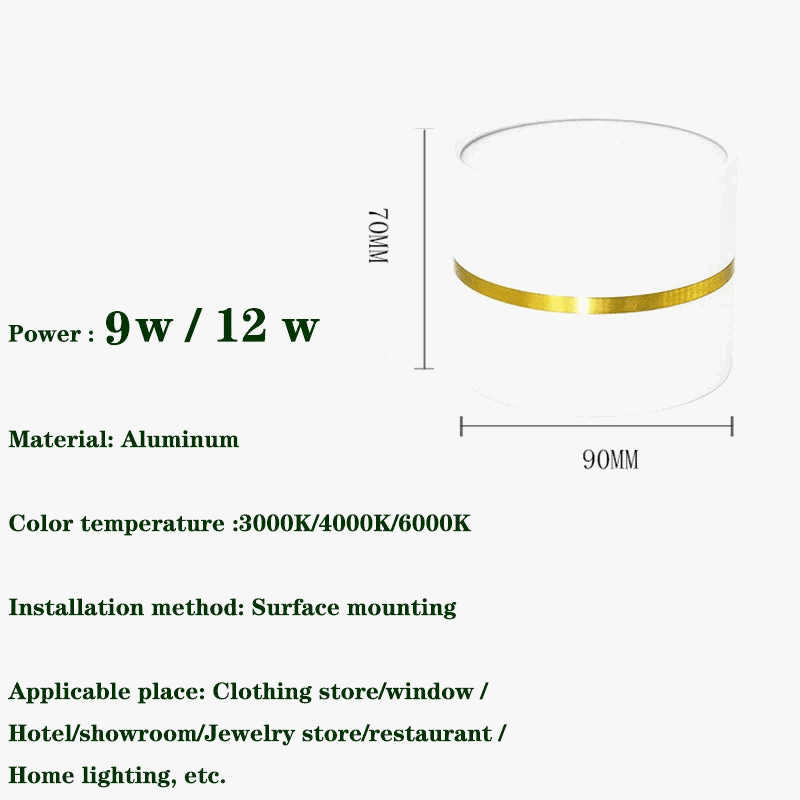 Plafonnier LED Surface Monté Downlight Rond Projecteurs COB - Éclairage Moderne | Marco Lucetti