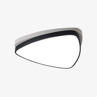 Plafonnier LED Bwart Triangle Arrondi