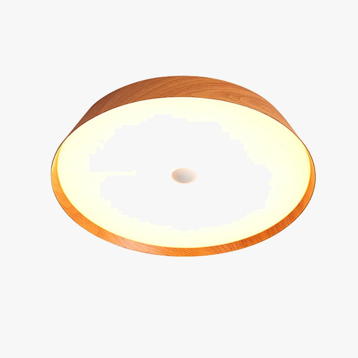 Plafonnier Métal Moderne Rond en Fer - Style Élégant