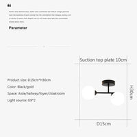 Plafonnier Noir Élégant en Verre Moderne | Marco Lucetti