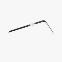 Plafonnier Sophistiqué et Moderne | Marco Lucetti