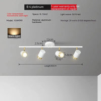 Plafonniers LED haoze pour maison et magasin | Marco Lucetti Or blanc 4 têtes