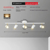 Plafonniers LED haoze pour maison et magasin | Marco Lucetti Or blanc 5 têtes