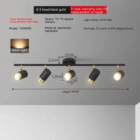 Plafonniers LED haoze pour maison et magasin | Marco Lucetti Or noir 5 têtes