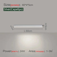 Plafonniers LED Modernes Nordiques pour Allée et Balcon - Collection Luminorais | Marco Lucetti Argent L60cm / Blanc chaud Pas de télécommande