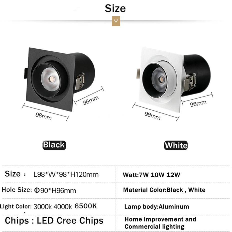 Spot multiled orientable.