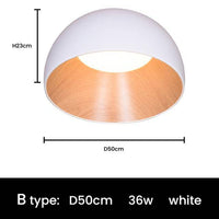 Plafonnier LED Ovales - Style Minimaliste Loft