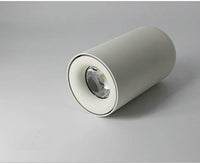 Spot cylindrique arrondi Mountée
