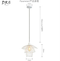 Suspension design en cage colorée