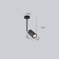 Projecteur LED Diano en aluminium brossé | Marco Lucetti Noir / 10cm