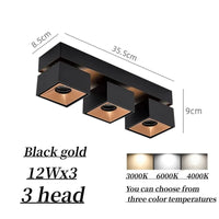 Projecteurs carrés lumineux pliables - TechSquare® | Marco Lucetti Bialck or 3x12W / Non dimmable / Lumière chaude 3000k