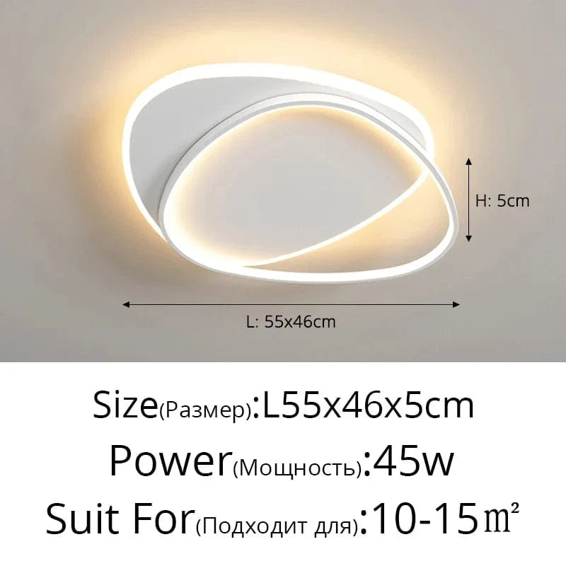 QIYIMEI Lustre LED Moderne pour Décoration Intérieure de Maison | Marco Lucetti A blanc 55cm / Blanc froid, pas de télécommande