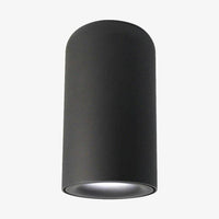 Spot cylindrique arrondi Mountée
