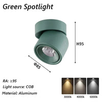 Spot LED Brilm Moderne Intérieur Aluminium Downlight Réglable à 360° | Marco Lucetti SL01 Vert / 12W / 3 couleurs modifiables