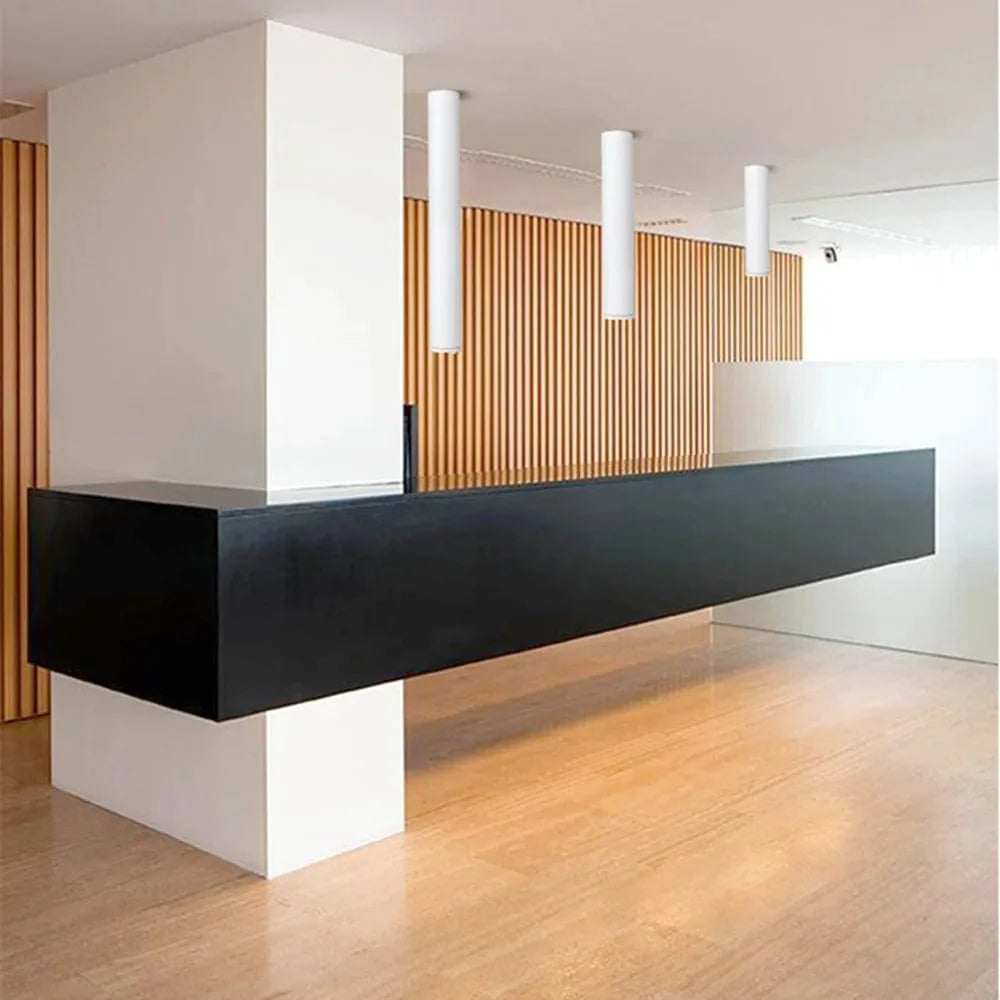 Spot LED cylindre Long moderne en aluminium monté en Surface pour un éclairage sophistiqué en intérieur | Marco Lucetti