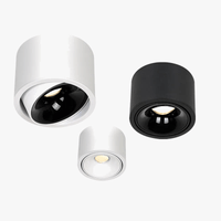 Spot lumineux LED COB pour plafond - Brilliance garantie ! | Marco Lucetti