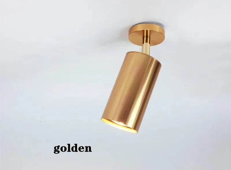 Spot lumineux LED IntelliLight™ à intensité personnalisable | Marco Lucetti Doré / Blanc naturel 4000K / 9W