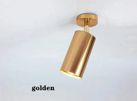 Spot lumineux LED IntelliLight™ à intensité personnalisable | Marco Lucetti Doré / Blanc naturel 4000K / 9W