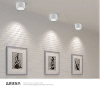 Spot monté en Surface Downlight COB LED pour un éclairage intérieur optimal | Marco Lucetti