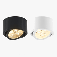 Spot monté en Surface Downlight COB LED pour un éclairage intérieur optimal | Marco Lucetti