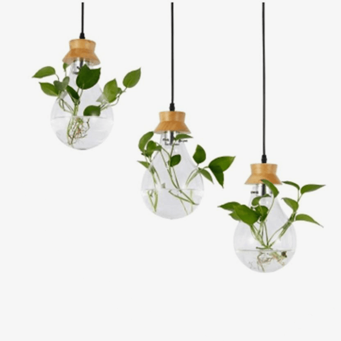 Suspension bocal en verre pour fleurs, support en bois