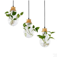 Suspension bocal en verre pour fleurs, support en bois | Marco Lucetti