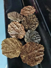 Suspension de luxe en cuivre avec feuille de lotus design rétro | Marco Lucetti Couleur personnalisée / Blanc chaud