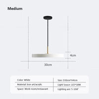 Suspension Discobright LED - Éclairage Moderne Suspendu - Décoration Luminaire Lustre | Marco Lucetti LPL124 Blanc 30cm / Gradation continue-RC
