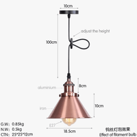 Suspension Industrielle Vintage avec Abat-jour en Fer | Marco Lucetti