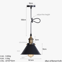 Suspension Industrielle Vintage avec Abat-jour en Fer | Marco Lucetti