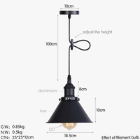 Suspension Industrielle Vintage avec Abat-jour en Fer | Marco Lucetti