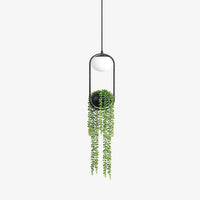 Suspension LED Loom - Design Moderne en Métal Noir | Marco Lucetti Avec plantes
