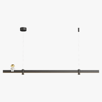 Suspension LED moderne en acier brossé noir. | Marco Lucetti