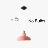 Suspension vintage en fer pour restaurants et maisons | Marco Lucetti