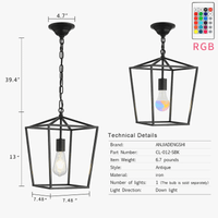 Suspensions industrielles Vintage en noir | Marco Lucetti