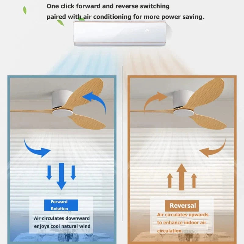 Ventilateur de plafond DC moderne | Marco Lucetti