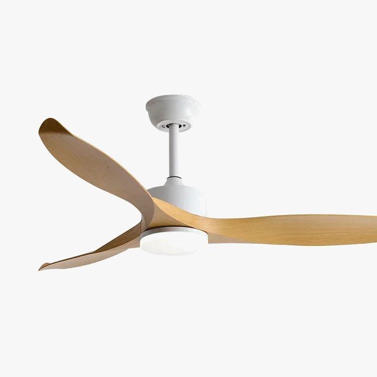 Ventilateur de plafond LED Smart Control - Design Moderne
