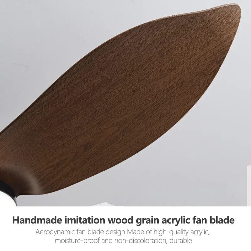 Ventilateur de plafond moderne BreezeTech avec télécommande et éclairage intégré | Marco Lucetti